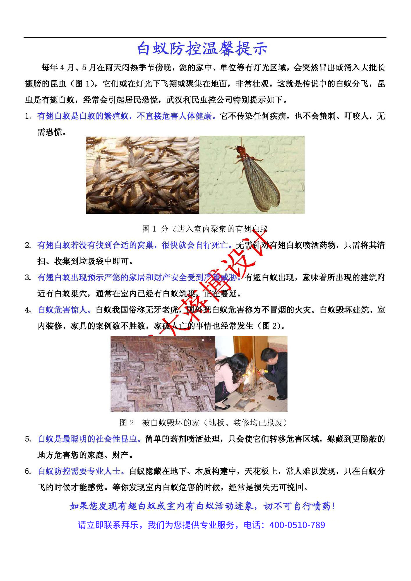 白蚁灭治业务营销宣传单案例